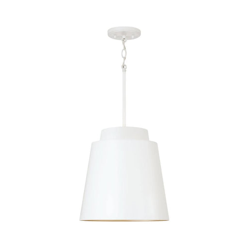 1 Light Pendant | AA1034WE