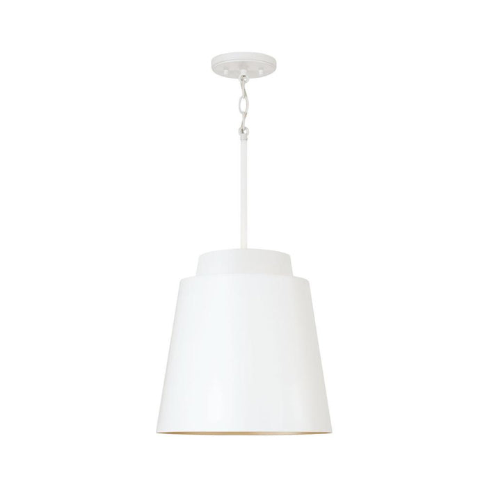 1 Light Pendant | AA1034WE