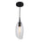 Dainolite 1 Light Incandescent Pendant, Blk Finish w/Clear Glass