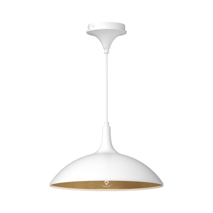 Abel | PD627914WH
