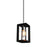 Artcraft Vineyard AC10061BC Pendant