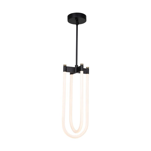 Artcraft Cascata Collection 2-Light Pendant Black and Brushed Brass