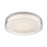 Kuzco Lighting Inc Aston 18-in Clear LED Flush Mount