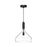 Belleview 12-in Clear Glass/matte Black 1 Light Pendant | PD532312MBCL