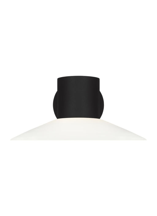Focal Large Led Sconce | BO1021TXB