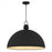 Braylon Pendant | BRAY2826MBK