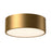 Brisbane 11-in Aged Gold 2 Lights Flush Mount | FM556012AG