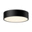 Brisbane 16-in Matte Black 3 Lights Flush Mount | FM556016MB