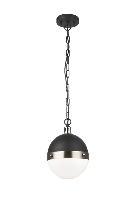 Torino Pendant | C61801BNOP