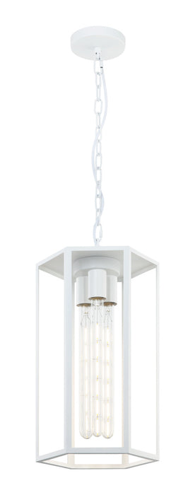 Creed Pendant | C64503WH