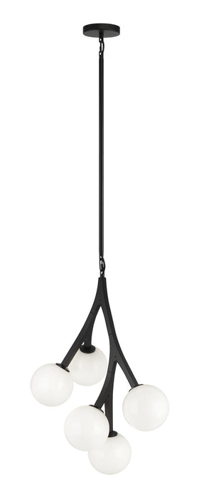Rami Chandelier | C81505BKOP