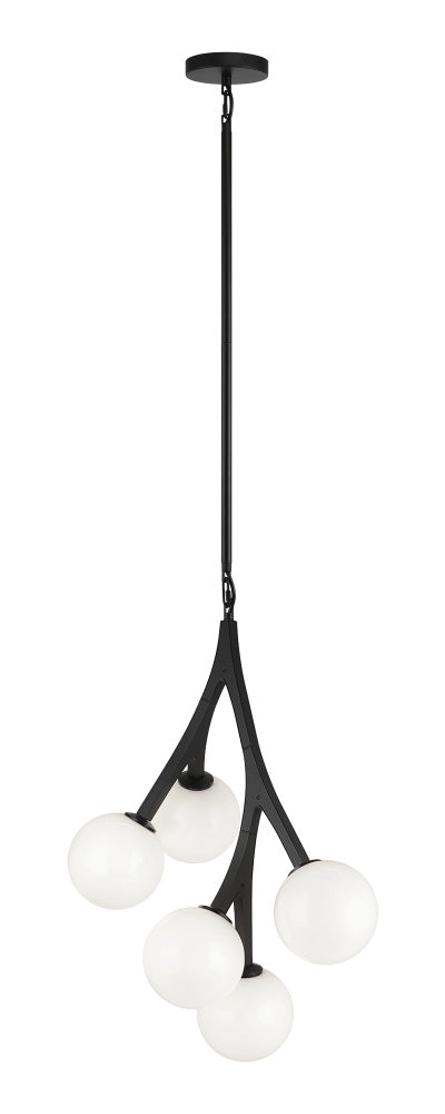 Rami Chandelier | C81505BKOP