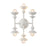 Cadence | WV328611AW