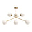 Cassia | CH549640AGOP