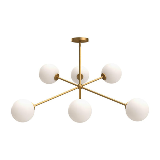 Cassia | CH549640AGOP
