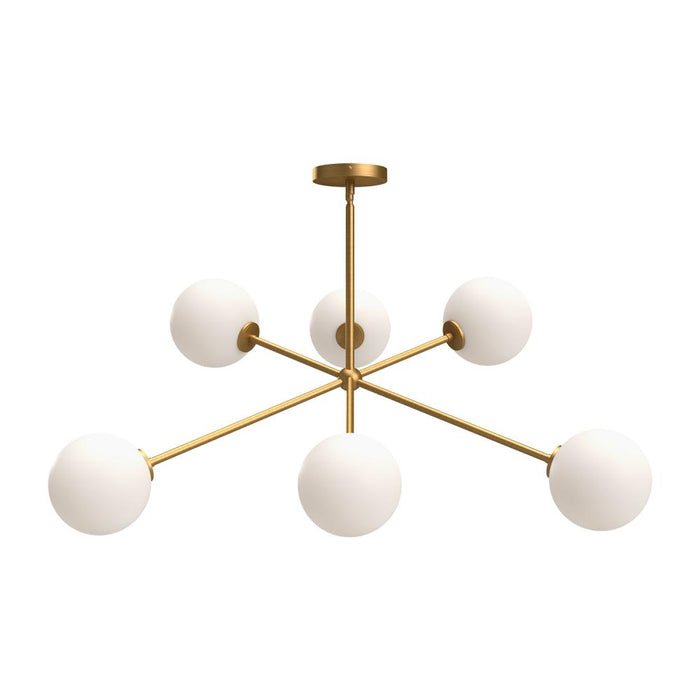 Cassia | CH549640AGOP