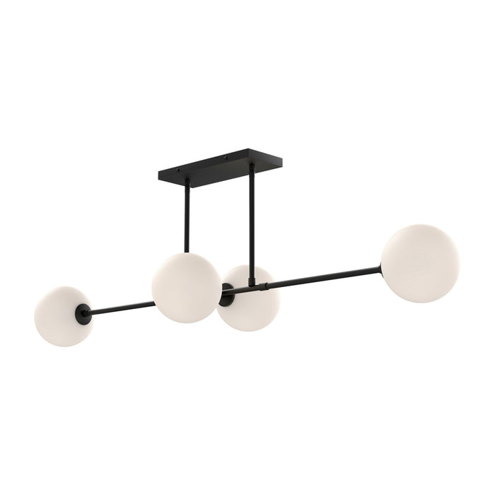 Cassia | LP549448MBOP