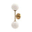 Cassia | WV549220AGOP