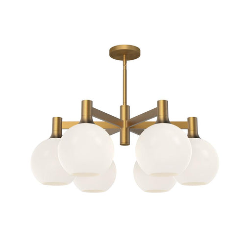 Castilla 29-in Aged Gold/opal Matte Glass 6 Lights Chandeliers | CH506230AGOP