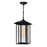 Crawford 1 Light Black Outdoor Hanging Light | 0417P9-1-101