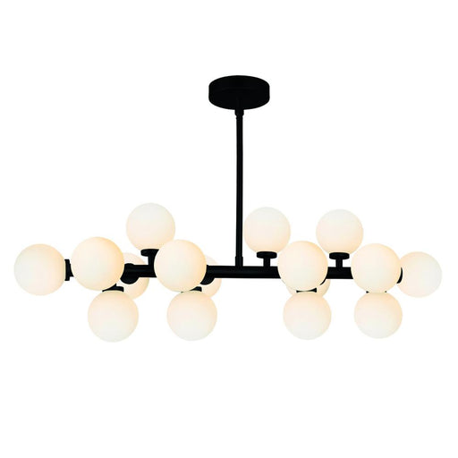 Arya 16 Light Chandelier With Black Finish | 1020P36-16-101