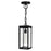 Windsor 1 Light Black Outdoor Ceiling Light | 1695P7-1-101