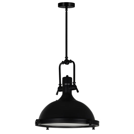 CWI Lighting Show 1 Light Down Pendant With Black Finish