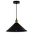 CWI Lighting Brave 1 Light Black Mini Pendant