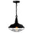 Morgan 1 Light Down Mini Pendant With Black Finish | 9611P14-1-101