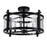 CWI Lighting Miette 4 Light Cage Flush Mount With Black Finish