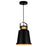 CWI Lighting Elisa 1 Light Down Pendant With Black Finish