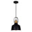 CWI Lighting Elisa 1 Light Down Pendant With Black Finish