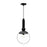 Delilah 10-in Clear Glass/matte Black 1 Light Pendant | PD560510MBCL