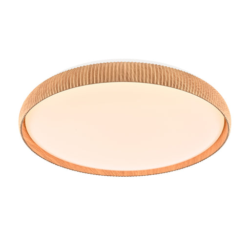 Fundy Flushmount | DVP23248NW