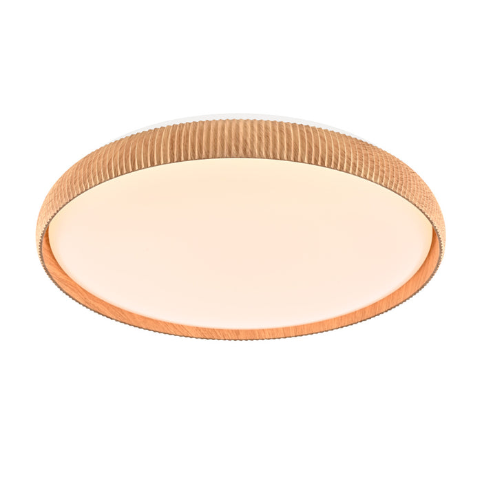 Fundy Flushmount | DVP23248NW