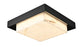 Topaz 12.5" Flushmount | DVP24638EB-GFA
