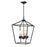 Lundy's Lane Outdoor 6 Light Pendant | DVP30177BK-OP