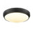 Algoma 17" Led  Flush Mount | DVP33048EB-5CCT