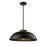 Bergen 1 Lt Dual Mount | DVP36808EB+NW