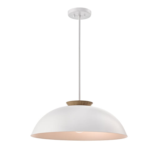 Bergen 1 Lt Dual Mount | DVP36808MW+NW