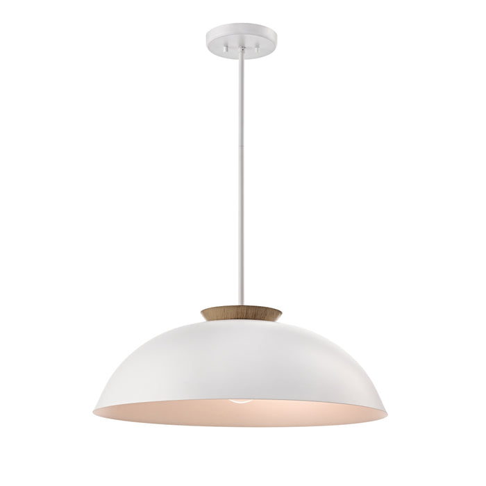 Bergen 1 Lt Dual Mount | DVP36808MW+NW