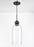Hariette 17" Clear Pendant, Black | DVP37621EB-CL