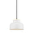 Quincy Pendant | DVP37721MW