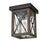 County Fair Outdoor Flush Mount | DVP43374BK+IW-CL