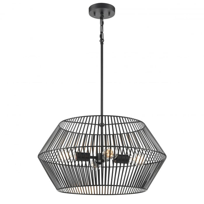 Ladysmith 22"  Pendant | DVP44505EB