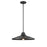 Somerset Outdoor 16 Inch Pendant | DVP45905BK