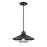 Somerset Outdoor 12 Inch Pendant | DVP45920BK