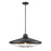 Somerset Outdoor 22 Inch Pendant | DVP45924BK