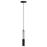 Torch-single Pendant | E11000-24BK