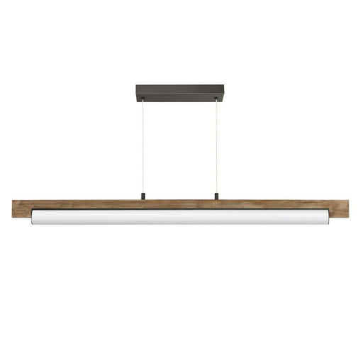 Joist-linear Pendant | E24932-DWCHL
